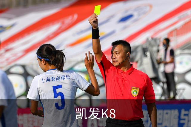 凯发K8 公司简介